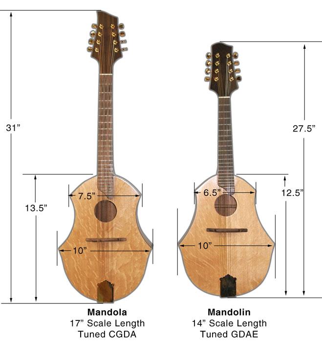 Musicmakers Mandola