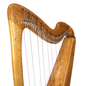 One Month Harp Rental