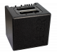 AER Alpha Acoustic Amp