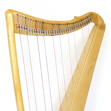 One Month Harp Rental
