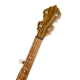 Mountain Banjo w/Gig Bag
