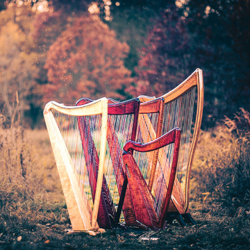 Down Payment on a Harp