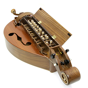 Hurdy Gurdy