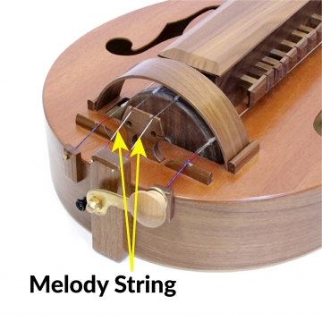 Melody String for Hurdy Gurdy