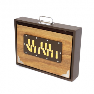 Shruti Box
