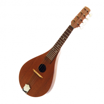 Teardrop Mandolin Plan - Download