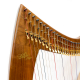 Blevins Encore 34 String