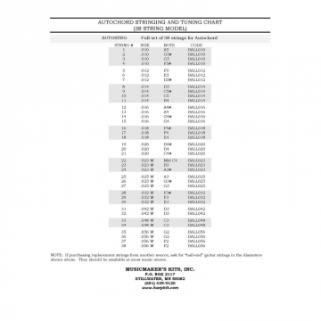 Autochord String Set