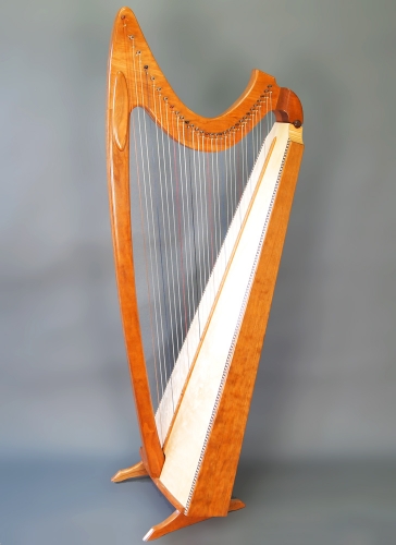 31 String Gothic Harp