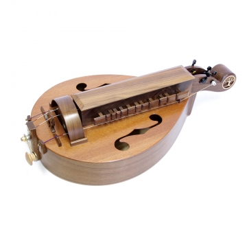 Hurdy Gurdy w/Gig Bag