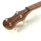 Tenor Banjo